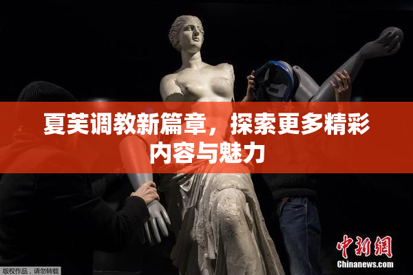 夏芙调教新篇章，探索更多精彩内容与魅力