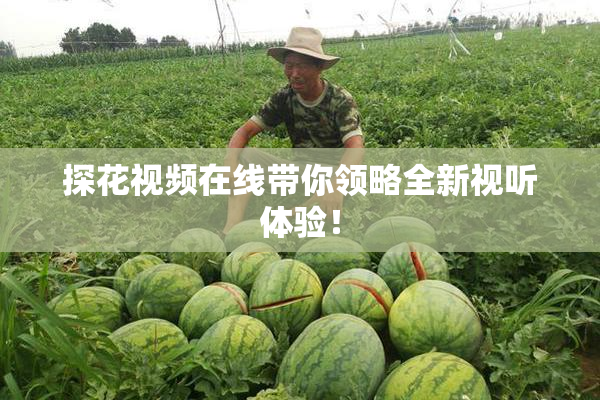 探花视频在线带你领略全新视听体验！