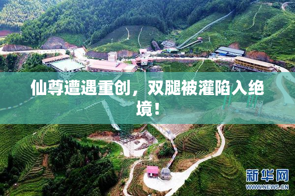 仙尊遭遇重创，双腿被灌陷入绝境！