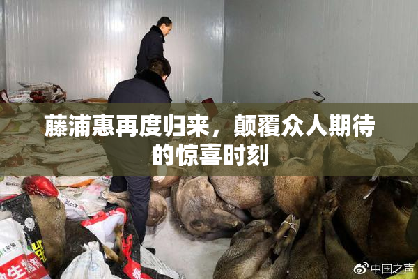 藤浦惠再度归来，颠覆众人期待的惊喜时刻
