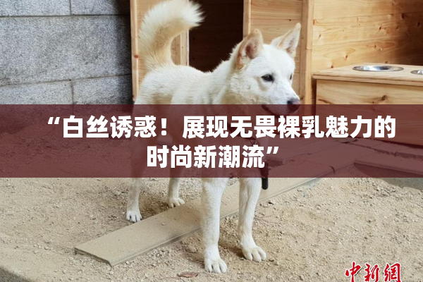 “白丝诱惑！展现无畏裸乳魅力的时尚新潮流”