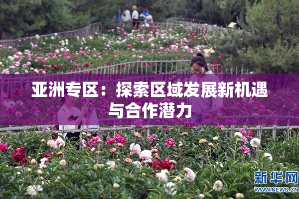 亚洲专区：探索区域发展新机遇与合作潜力