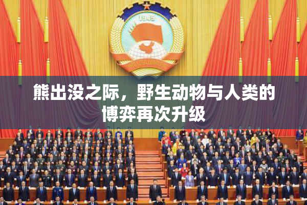 熊出没之际，野生动物与人类的博弈再次升级