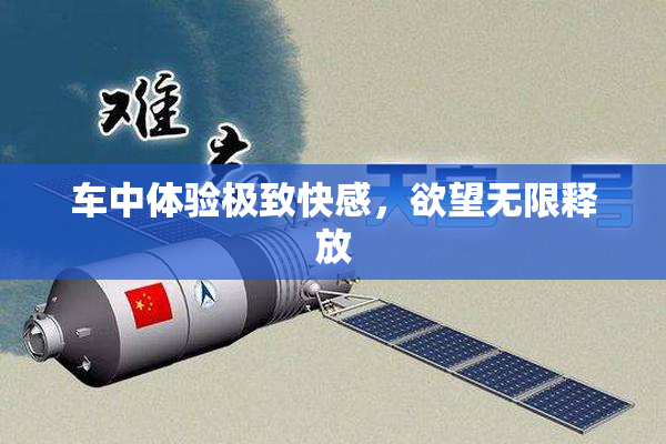 车中体验极致快感，欲望无限释放