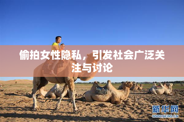 偷拍女性隐私，引发社会广泛关注与讨论
