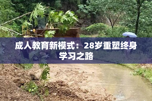成人教育新模式：28岁重塑终身学习之路