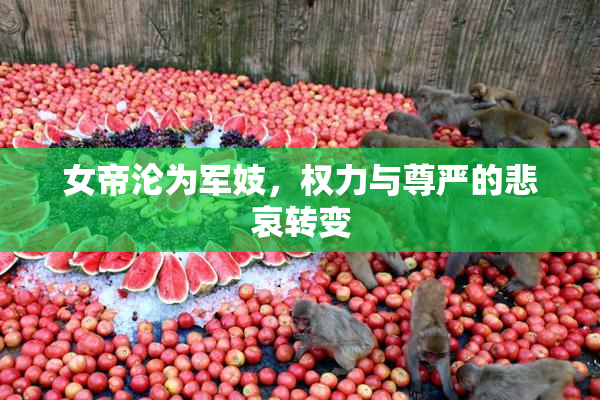 女帝沦为军妓，权力与尊严的悲哀转变