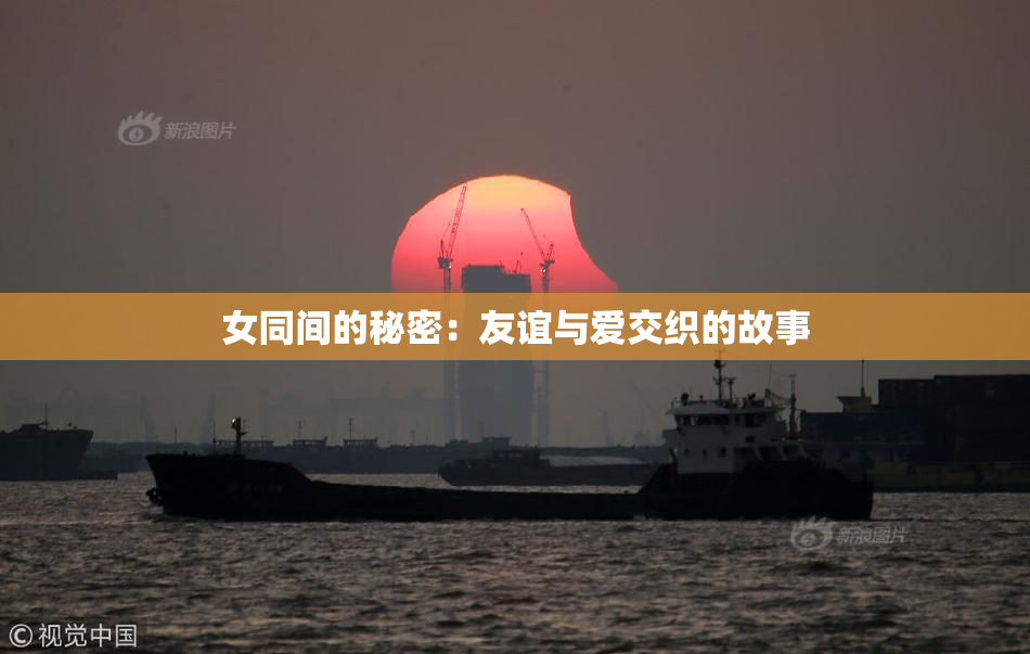 女同间的秘密：友谊与爱交织的故事