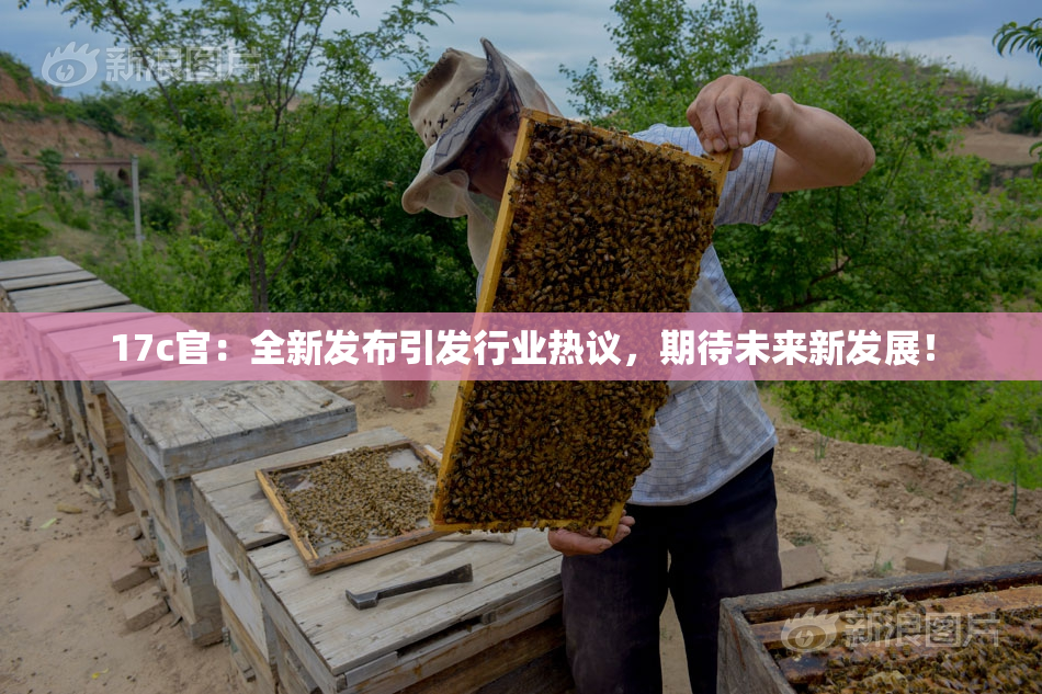 17c官：全新发布引发行业热议，期待未来新发展！