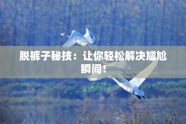脱裤子秘技：让你轻松解决尴尬瞬间！