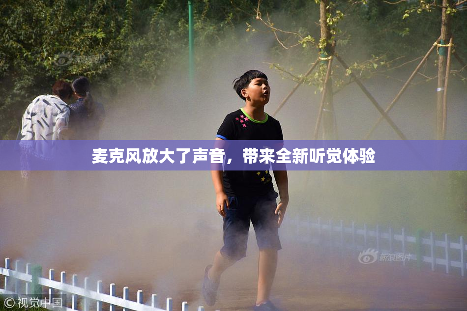 麦克风放大了声音，带来全新听觉体验