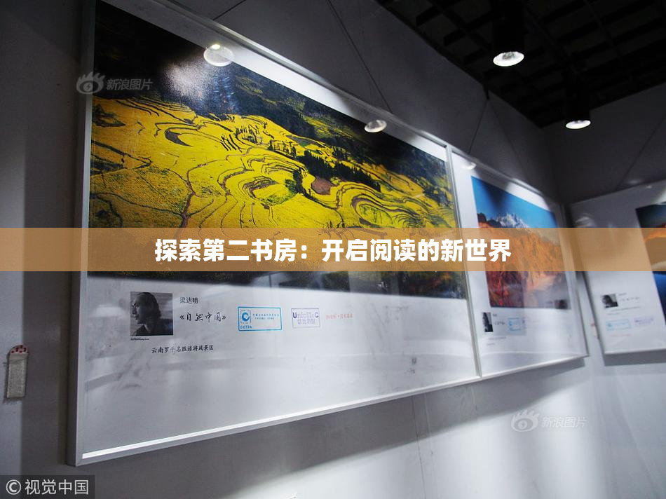 探索第二书房：开启阅读的新世界