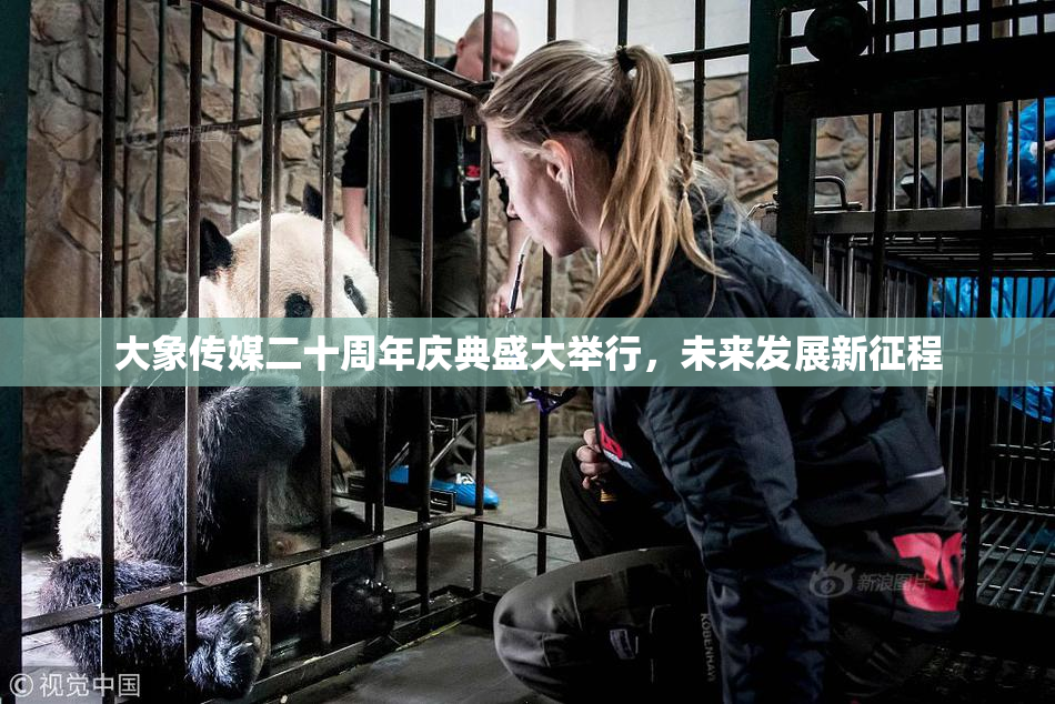 大象传媒二十周年庆典盛大举行，未来发展新征程