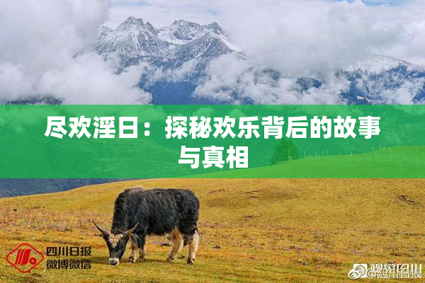 尽欢淫日：探秘欢乐背后的故事与真相