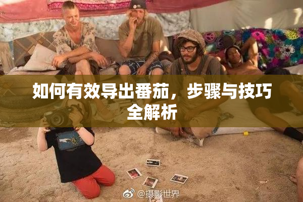 如何有效导出番茄，步骤与技巧全解析