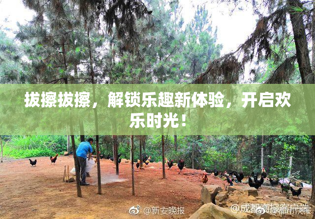 拔擦拔擦，解锁乐趣新体验，开启欢乐时光！