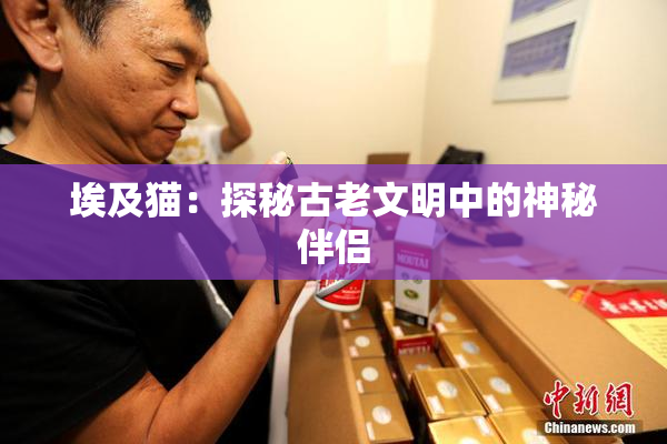 埃及猫：探秘古老文明中的神秘伴侣