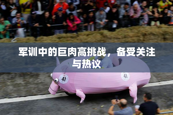 军训中的巨肉高挑战，备受关注与热议