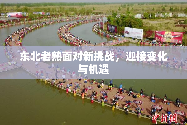 东北老熟面对新挑战，迎接变化与机遇
