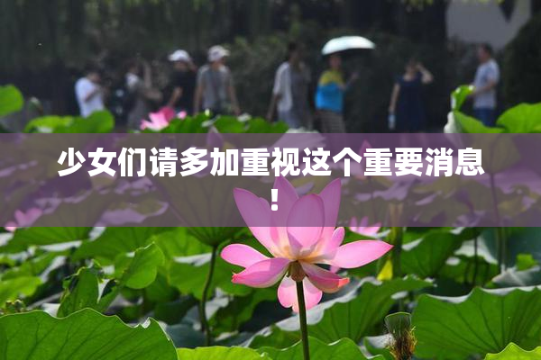 少女们请多加重视这个重要消息！