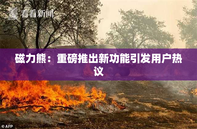 磁力熊：重磅推出新功能引发用户热议