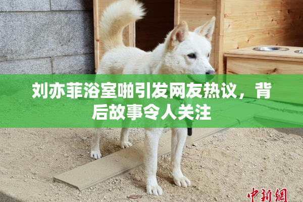 刘亦菲浴室啪引发网友热议，背后故事令人关注