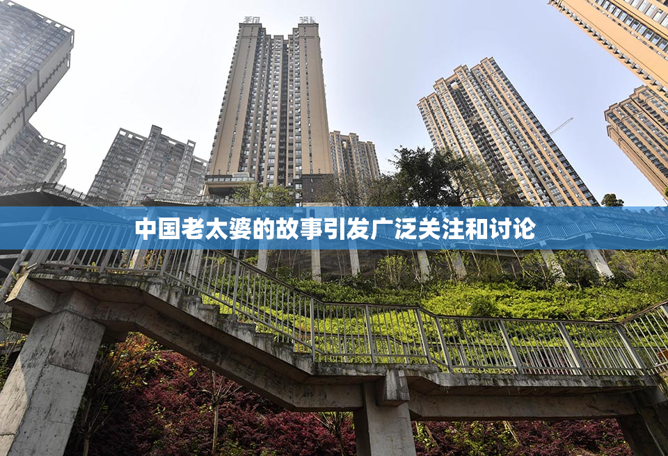 中国老太婆的故事引发广泛关注和讨论