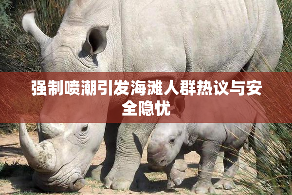强制喷潮引发海滩人群热议与安全隐忧