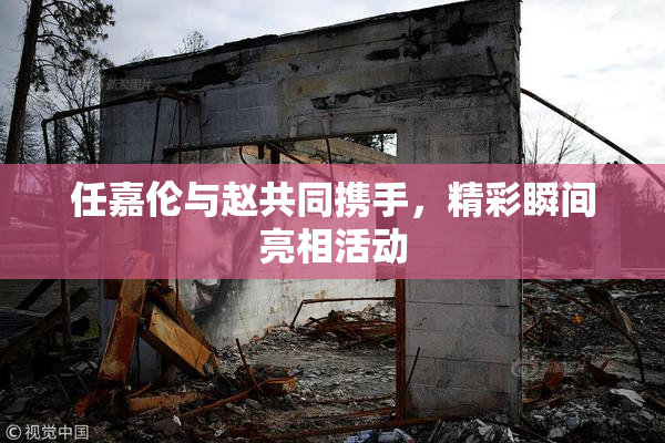 任嘉伦与赵共同携手，精彩瞬间亮相活动