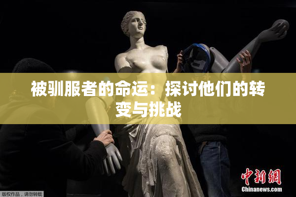 被驯服者的命运：探讨他们的转变与挑战