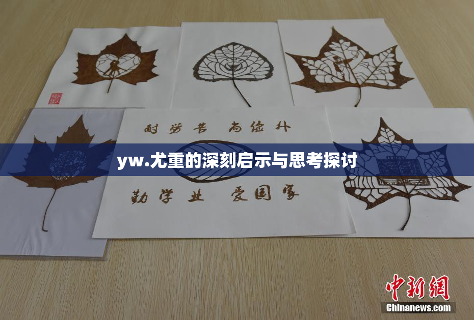 yw.尤重的深刻启示与思考探讨