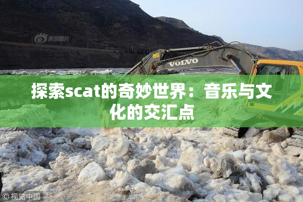 探索scat的奇妙世界：音乐与文化的交汇点
