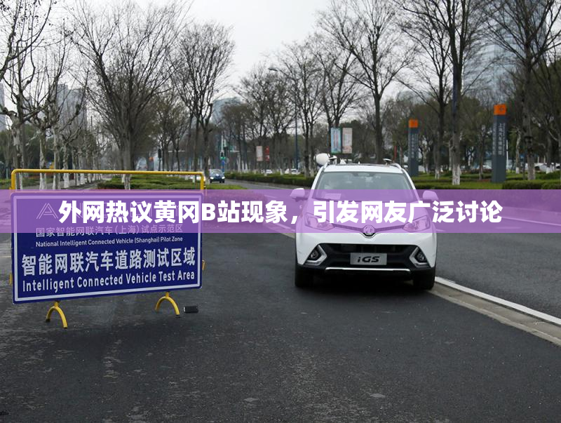 外网热议黄冈B站现象，引发网友广泛讨论