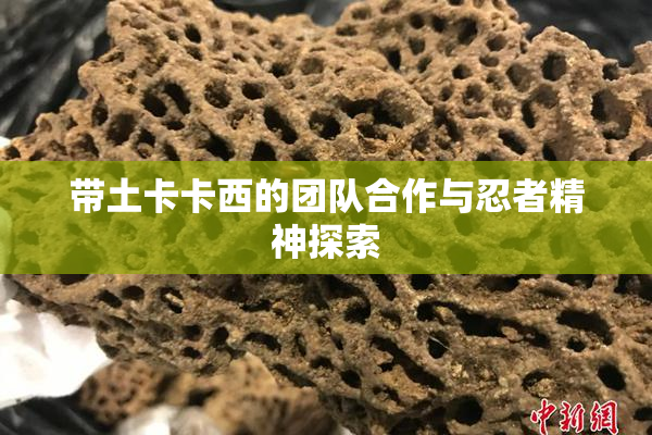 带土卡卡西的团队合作与忍者精神探索