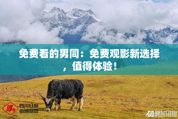 免费看的男同：免费观影新选择，值得体验！