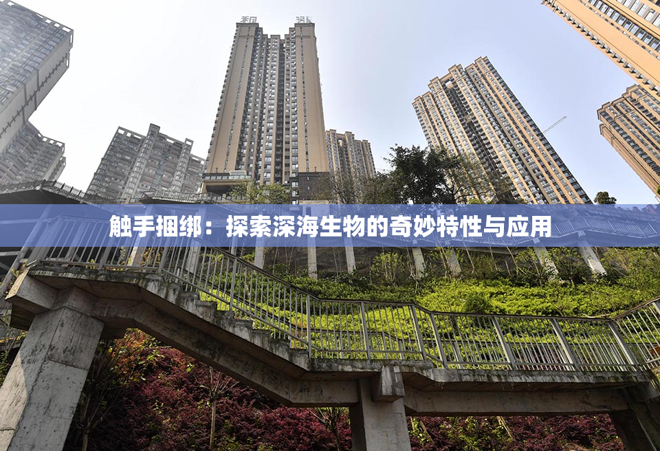 触手捆绑：探索深海生物的奇妙特性与应用