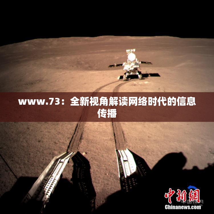 www.73：全新视角解读网络时代的信息传播