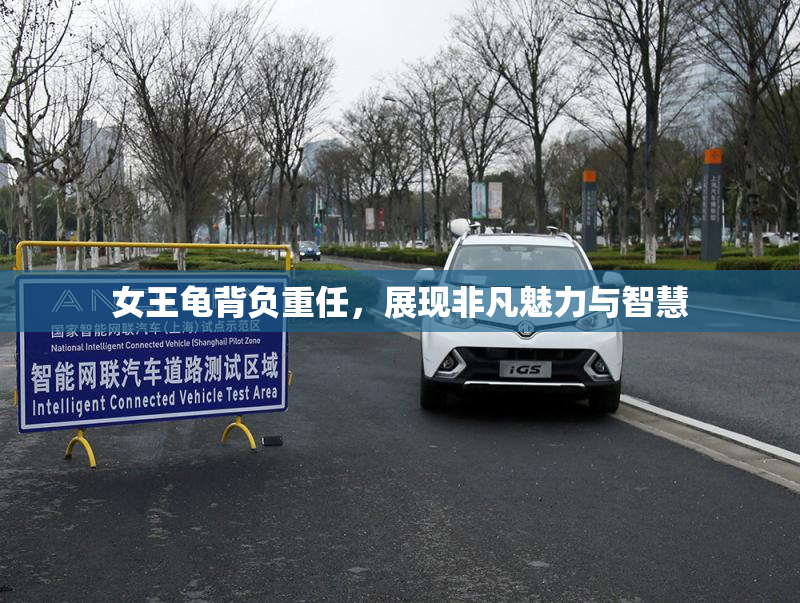 女王龟背负重任，展现非凡魅力与智慧