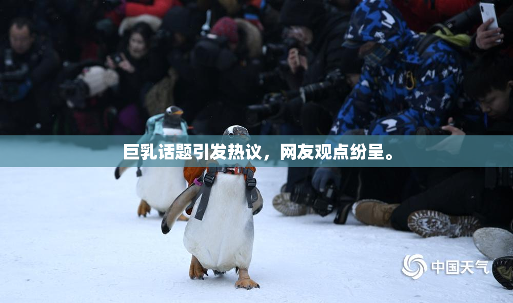 巨乳话题引发热议，网友观点纷呈。