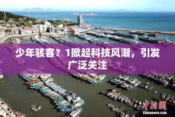 少年骇客？1掀起科技风潮，引发广泛关注