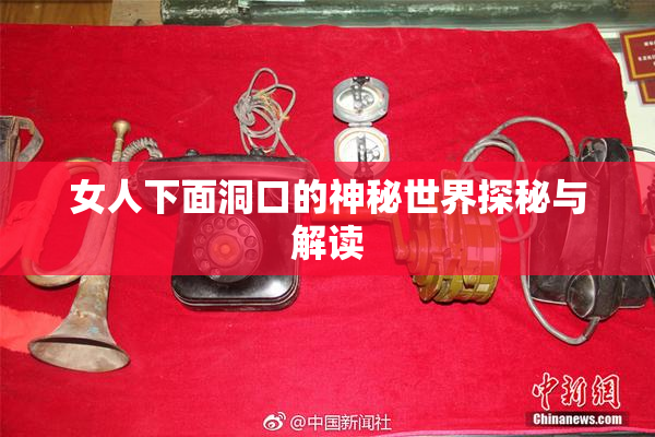 女人下面洞口的神秘世界探秘与解读