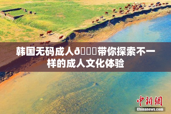 韩国无码成人🔞带你探索不一样的成人文化体验