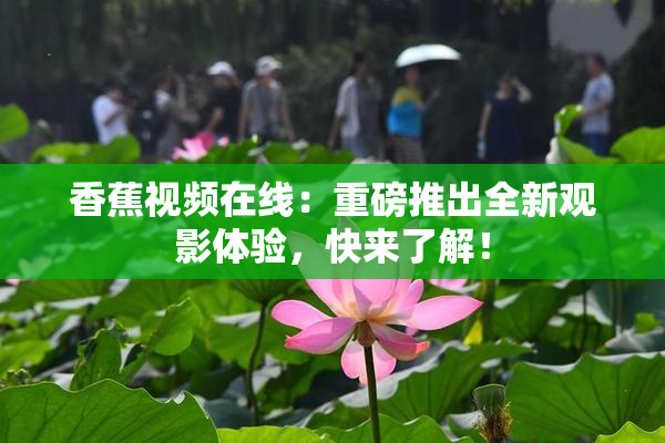 香蕉视频在线：重磅推出全新观影体验，快来了解！