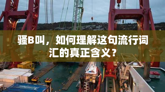 骚B叫，如何理解这句流行词汇的真正含义？