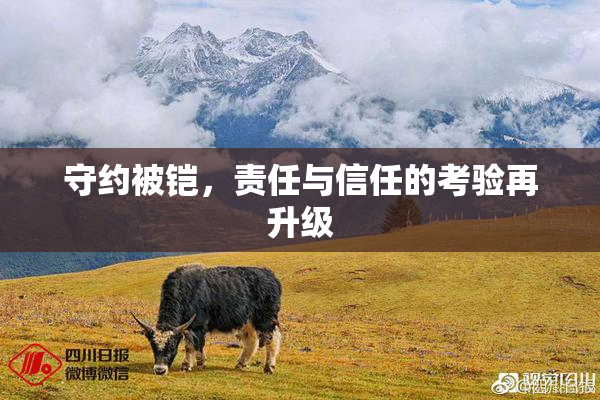 守约被铠，责任与信任的考验再升级