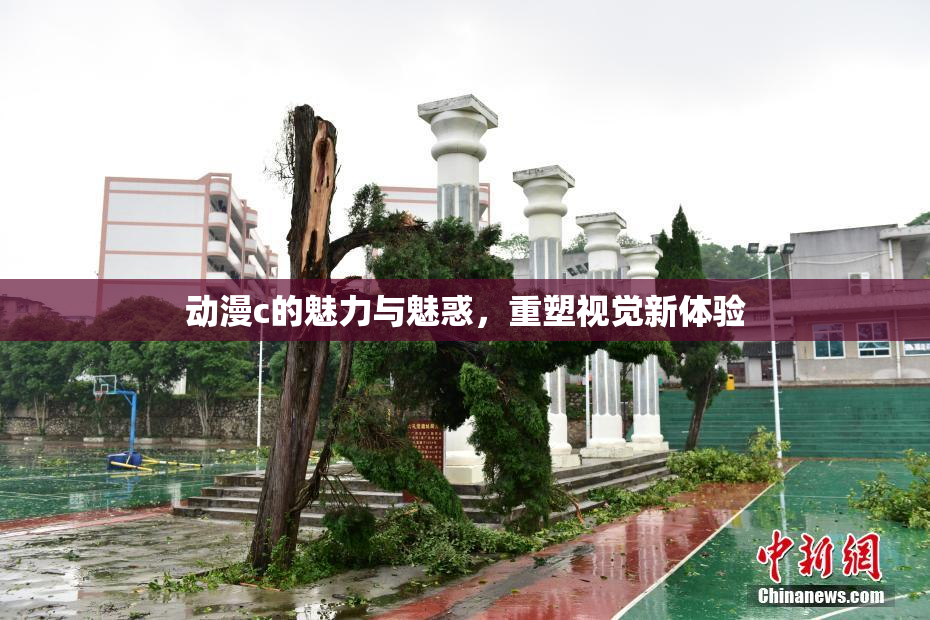 动漫c的魅力与魅惑，重塑视觉新体验