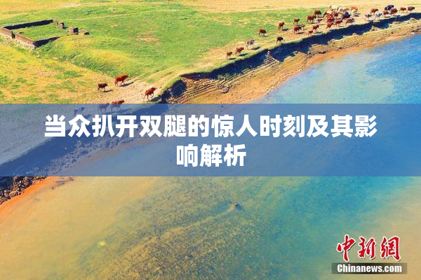 当众扒开双腿的惊人时刻及其影响解析