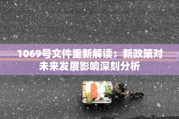 1069号文件重新解读：新政策对未来发展影响深刻分析