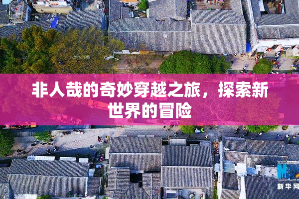 非人哉的奇妙穿越之旅，探索新世界的冒险