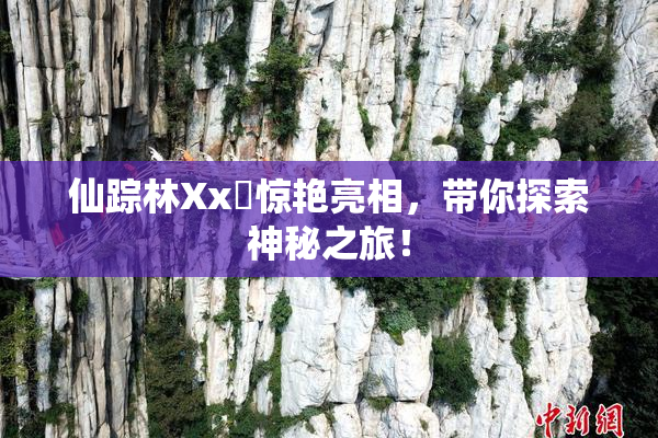 仙踪林Xx乂惊艳亮相，带你探索神秘之旅！
